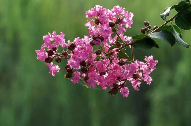 植樹節(jié)-春風十里,正“植”有你【杭州易造】 植樹節(jié)-春風十里,正“植”有你【杭州易造】