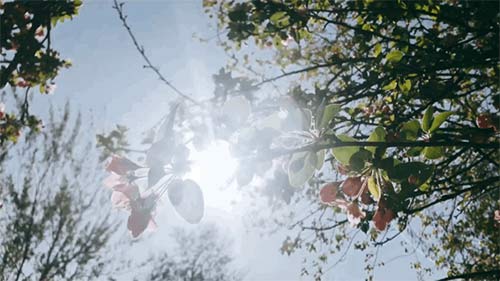 三八婦女節丨祝所有女神:愿你笑靨如花,一生不減芳華-杭州易造