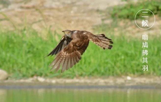 谷雨|雨生百谷,萬象更新 谷雨|雨生百谷,萬象更新