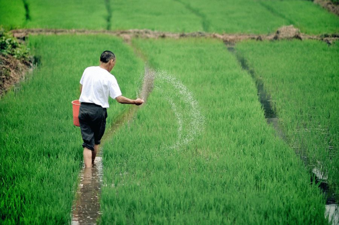 立夏六｜春光忽盡，夏木成陰【杭州易造】