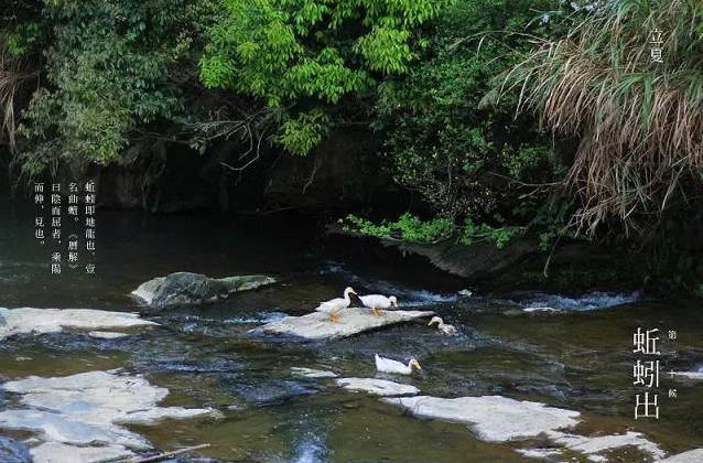 立夏六｜春光忽盡，夏木成陰【杭州易造】