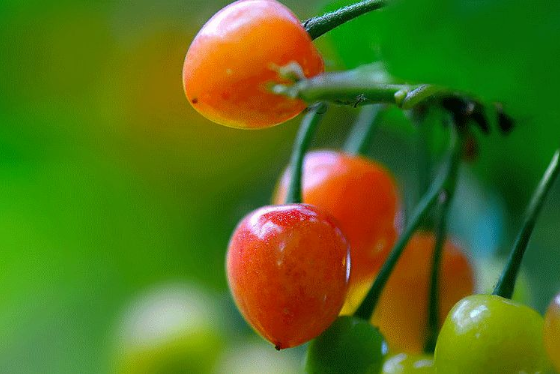 立夏六｜春光忽盡，夏木成陰【杭州易造】