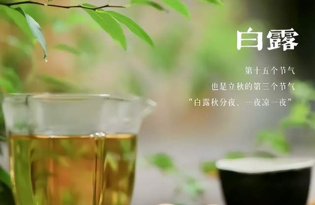 二十四節(jié)氣-白露 | 白露至,秋實美 二十四節(jié)氣-白露 | 白露至,秋實美