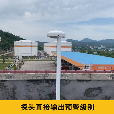 雷電預警系統(tǒng)價格-IP65探頭 雷電預警系統(tǒng)價格-IP65探頭