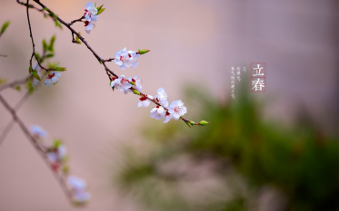 立春-打春 立春-打春