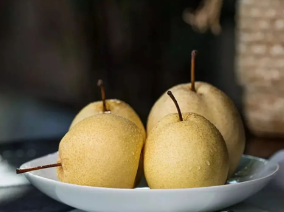 驚蟄-叫醒甜睡的春-易造防雷 驚蟄-叫醒甜睡的春-易造防雷