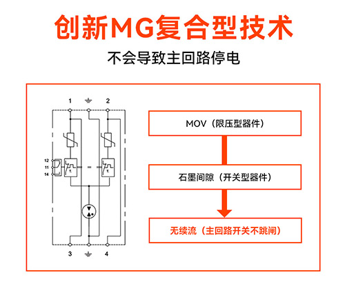浪涌保護器廠家-復合型
